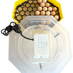 Incubator pentru oua Cleo5 D capacitate 41 oua intoarcere automata