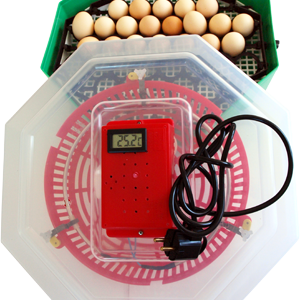 Incubator pentru oua Cleo 5 capacitate 41 oua termometru, intoarcere automata